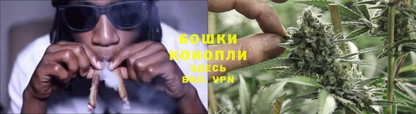шишки Няндома