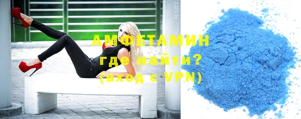 шишки Няндома